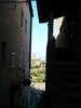 P1010113